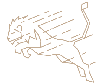 animation Icon 02